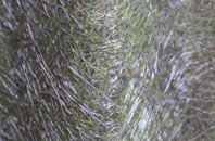 Loundsley Green fibreglass roof work